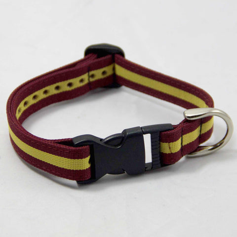 Royal Regiment of Fusiliers Dog Collar